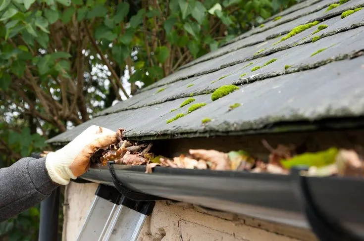 gutter cleaning limerick 4