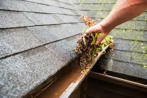 gutter cleaning limerick 6